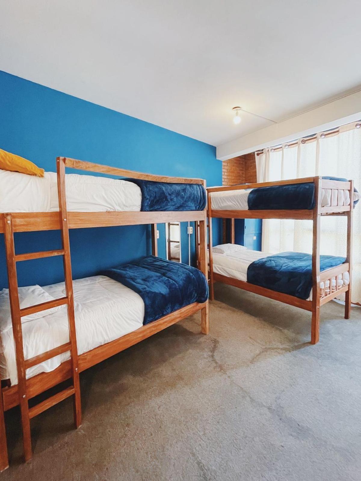Lobo Hostel La Paz Dış mekan fotoğraf