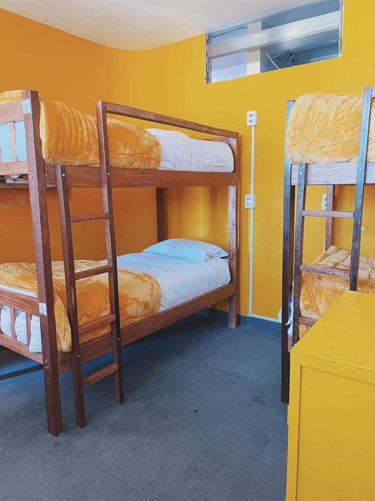 Lobo Hostel La Paz Dış mekan fotoğraf