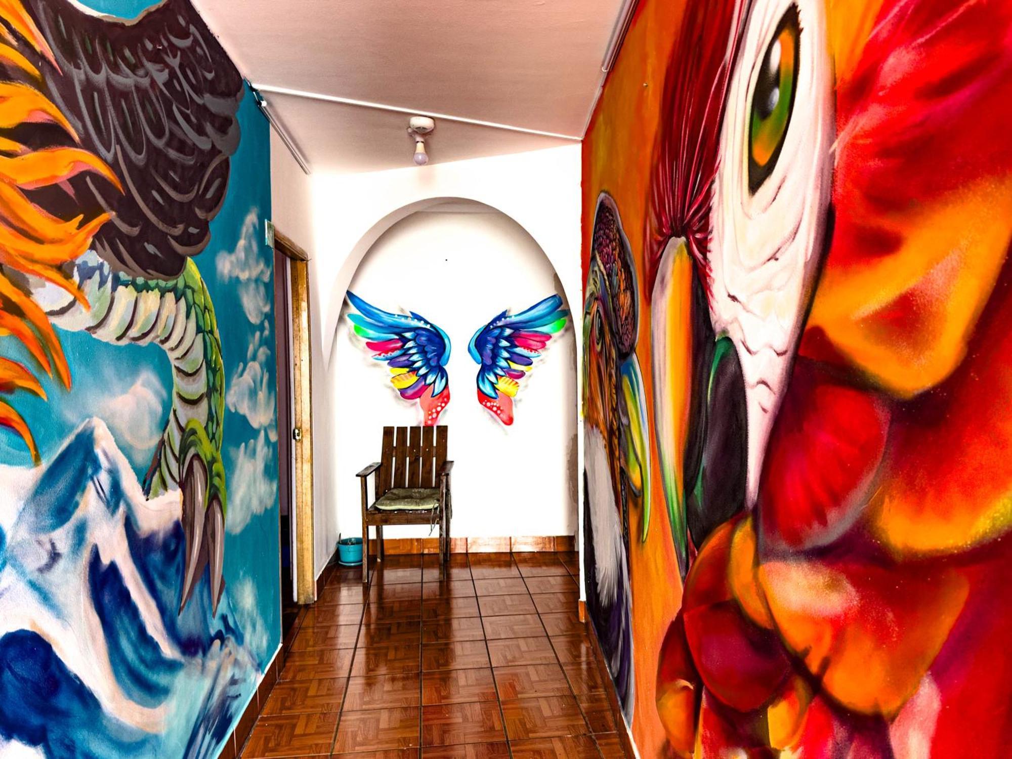 Lobo Hostel La Paz Dış mekan fotoğraf