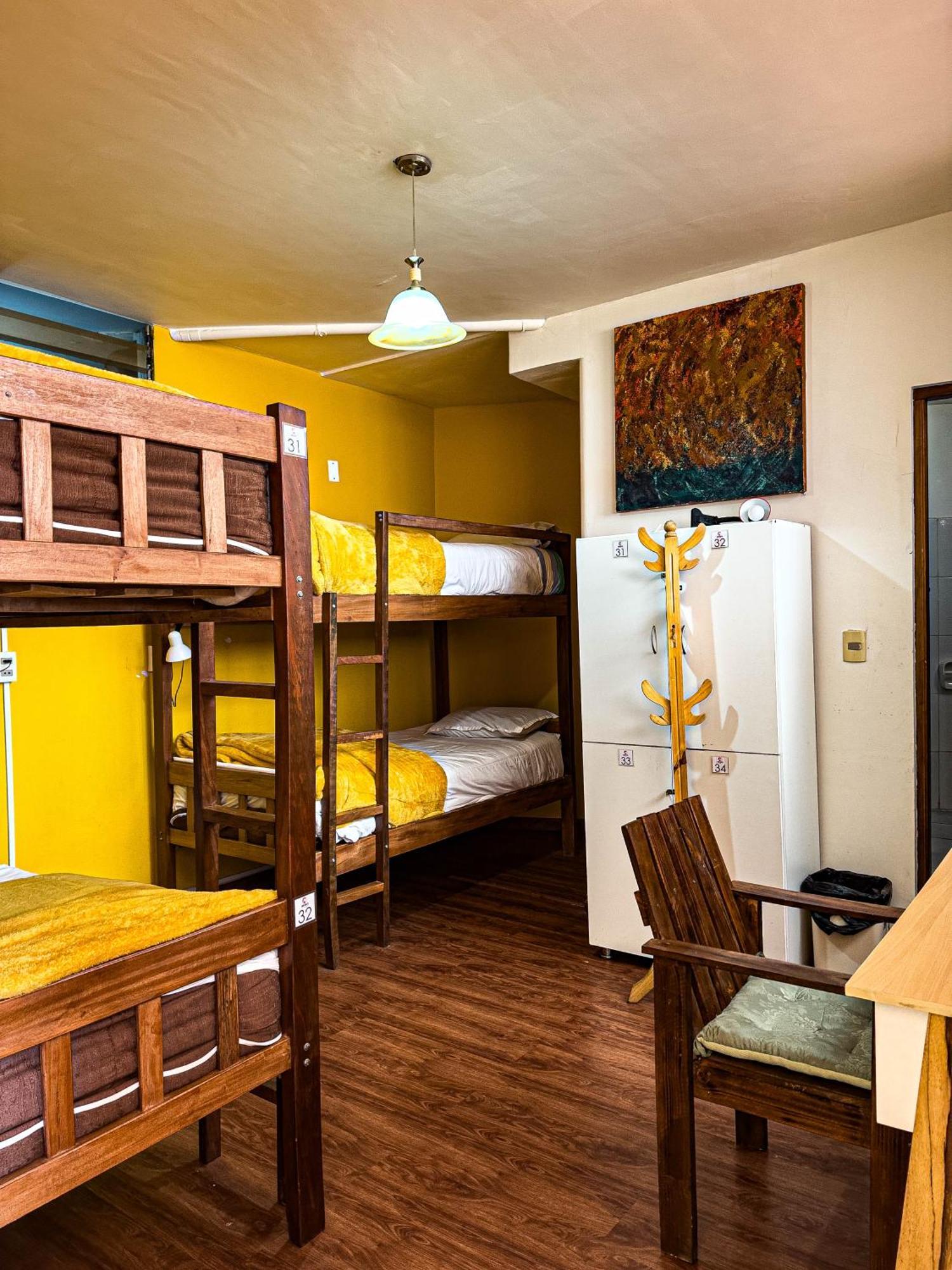 Lobo Hostel La Paz Dış mekan fotoğraf