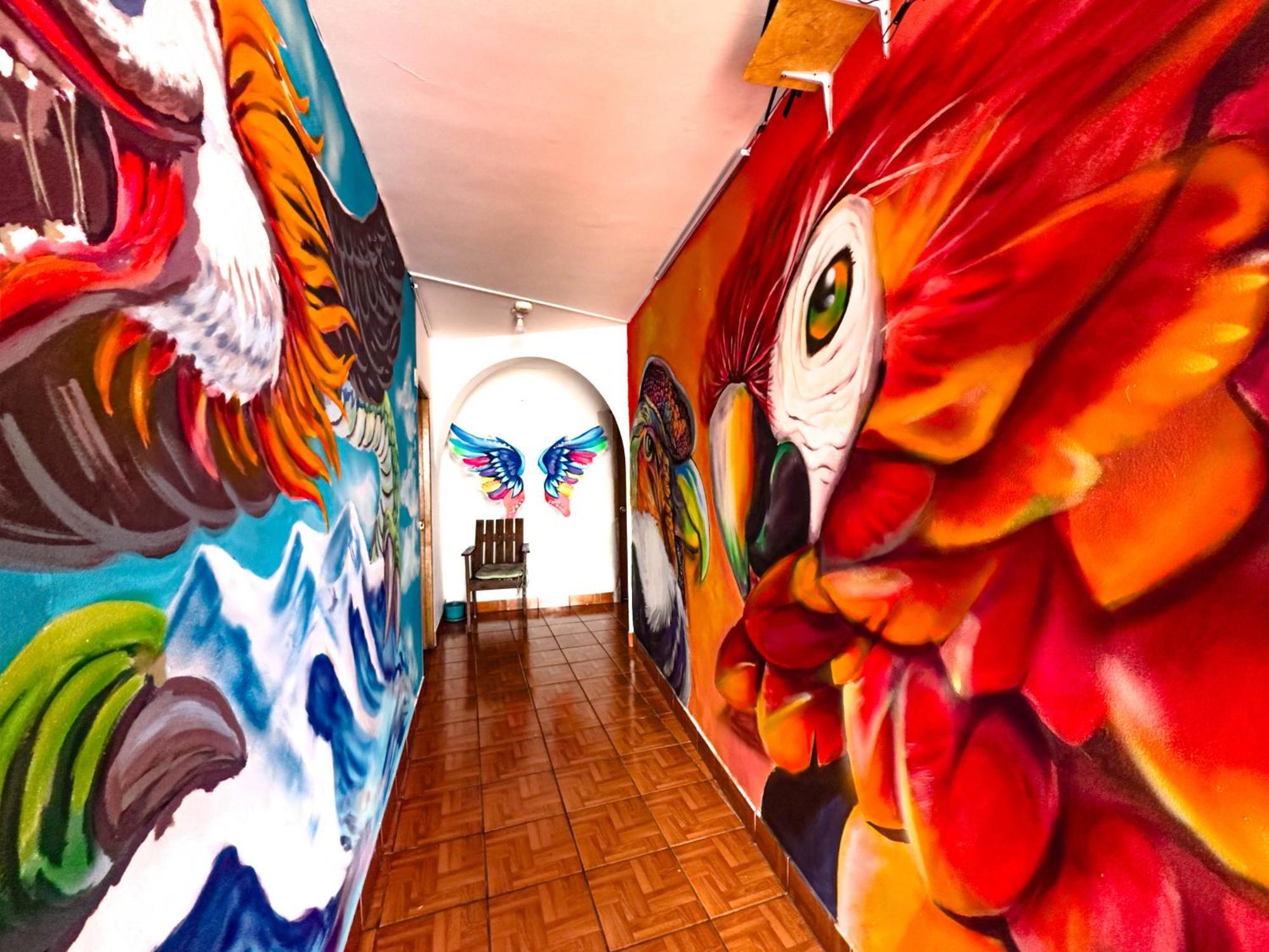 Lobo Hostel La Paz Dış mekan fotoğraf